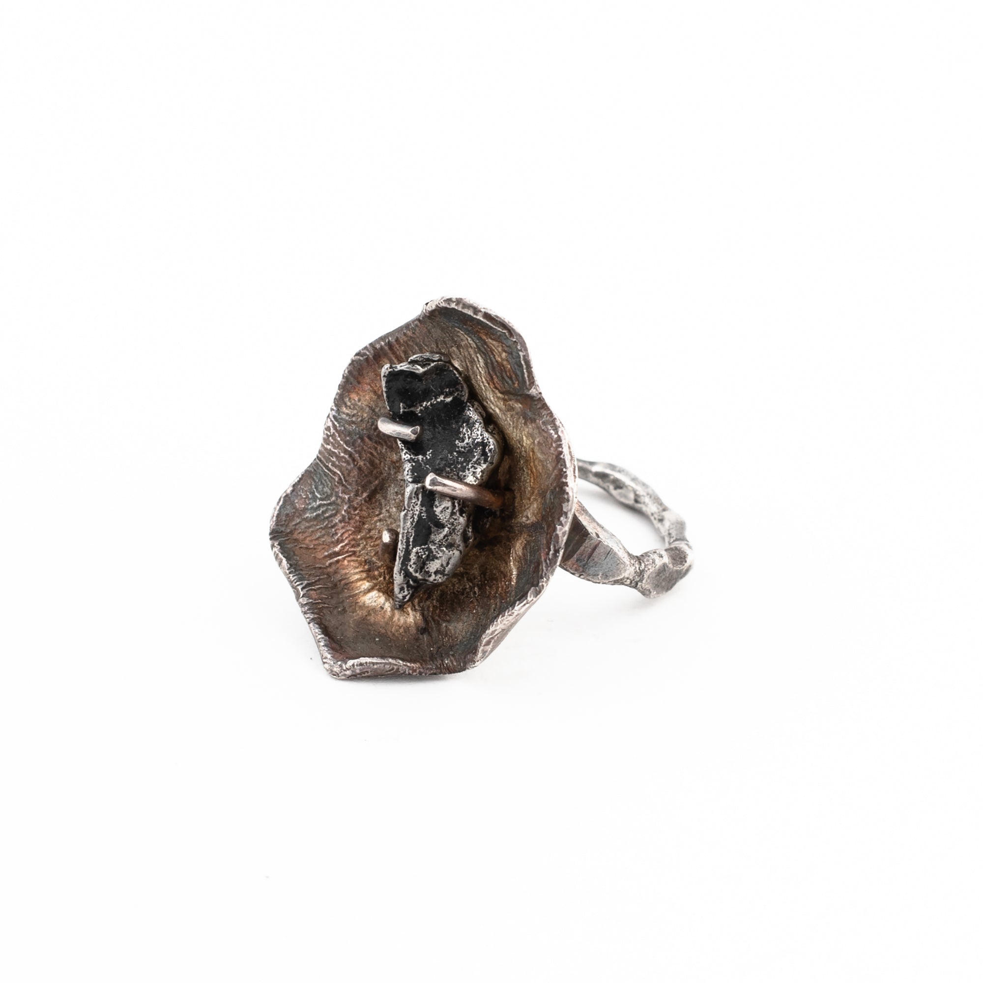 Botanic Crystal Ring // Meteorite
